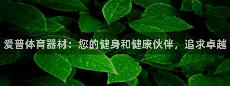 尊龙旗舰厅app