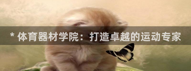 凯时效果怎么样