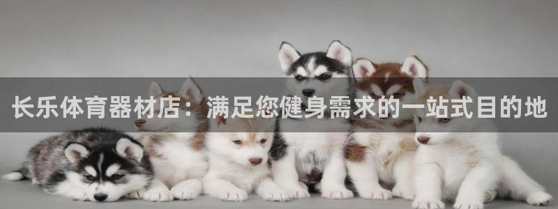 尊龙官方网站最新版V9.3.06介绍