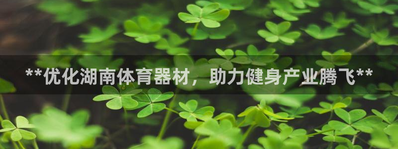 尊龙z6官网ag