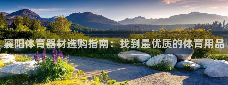 尊龙手机官方客户端下载