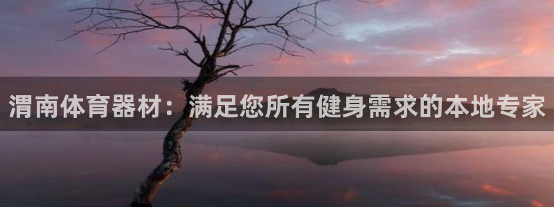 尊龙百度百科