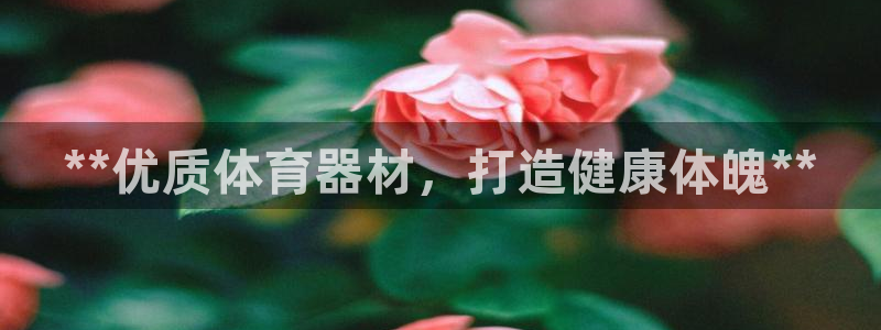 尊龙凯时开发