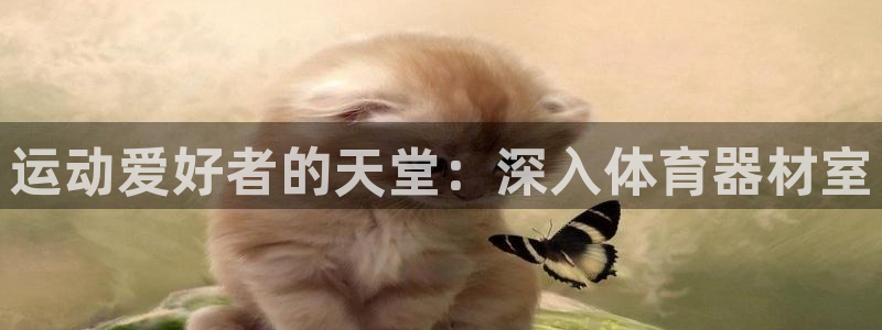 尊龙凯时官网