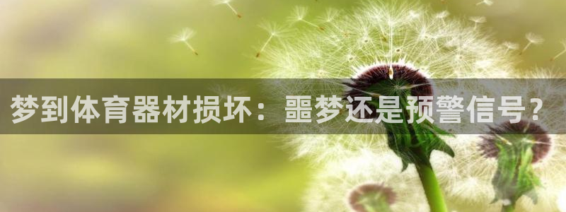 尊龙凯时 人生就是搏