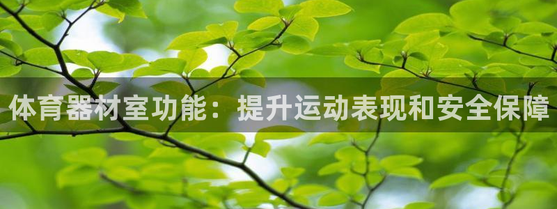 尊龙官网入口
