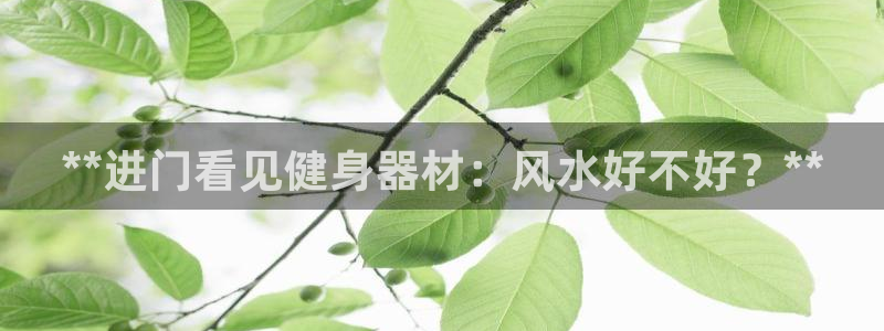 尊龙物流怎么样