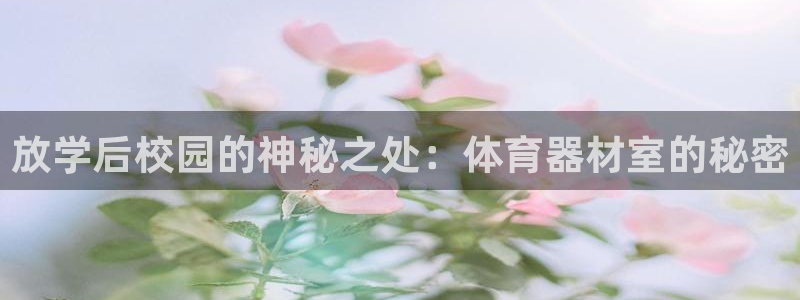 尊龙凯时ag旗舰