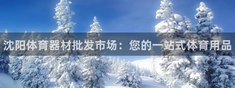 尊龙凯时平台还是万博好