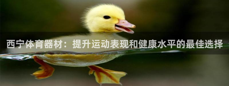 ag尊龙怎么样