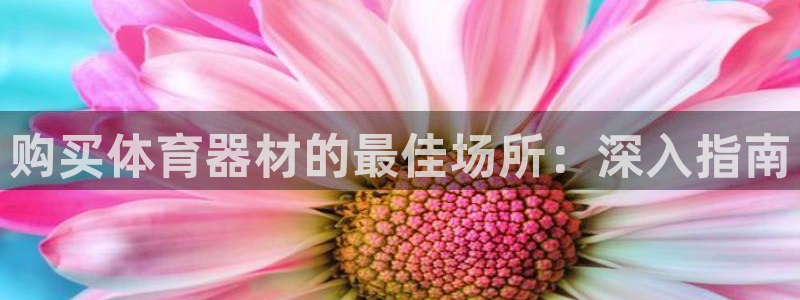 尊龙d88会员