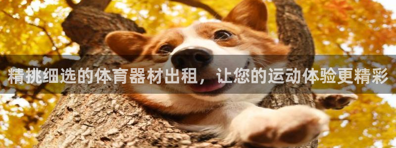 尊龙官网APP下载