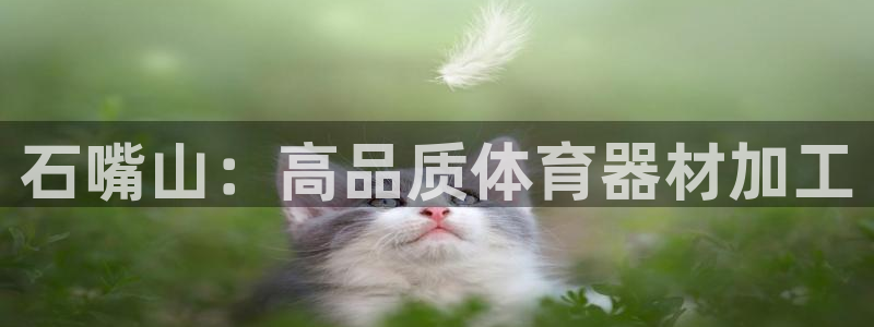 尊龙凯时取款一直支付中