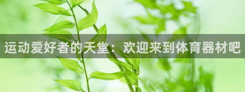 尊龙软件下载