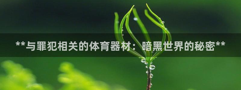 尊龙凯时 人生就是搏首页