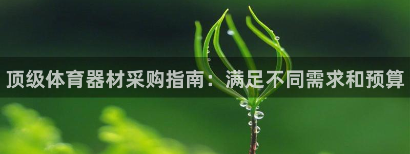 凯时国际官方版