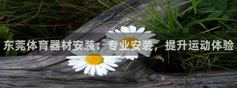 尊龙凯时请求参数不符合