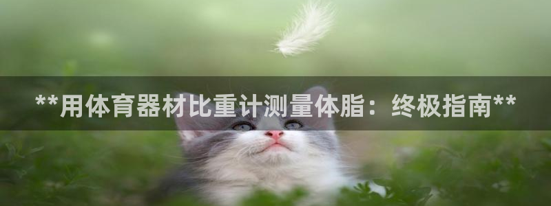 尊龙手机官方客户端下载