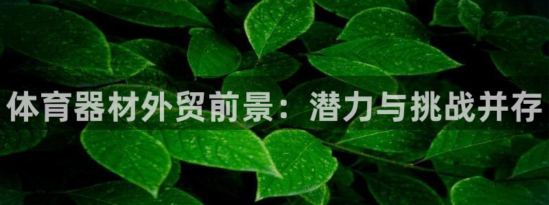 尊龙传奇英文怎么写
