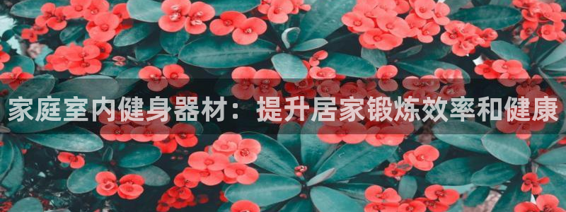 尊龙凯时干什么的