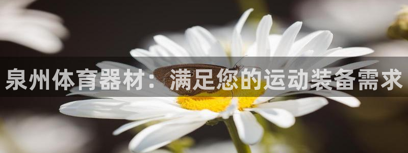 尊龙手机客户端下载APP