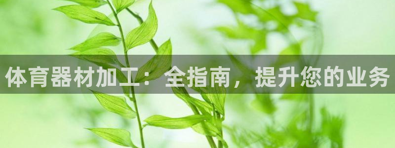 尊龙官方网站