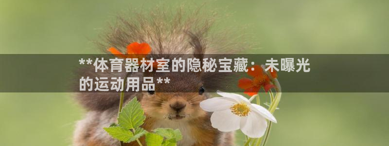 尊龙凯时logo