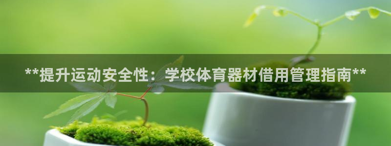 凯时官网手机版下载