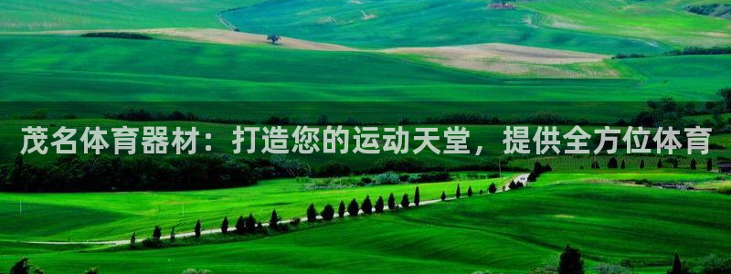 尊龙下载推荐网站