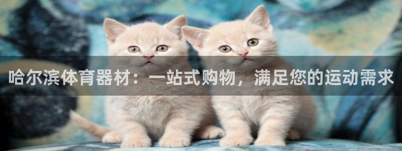 尊龙凯时ag旗舰厅官网客服