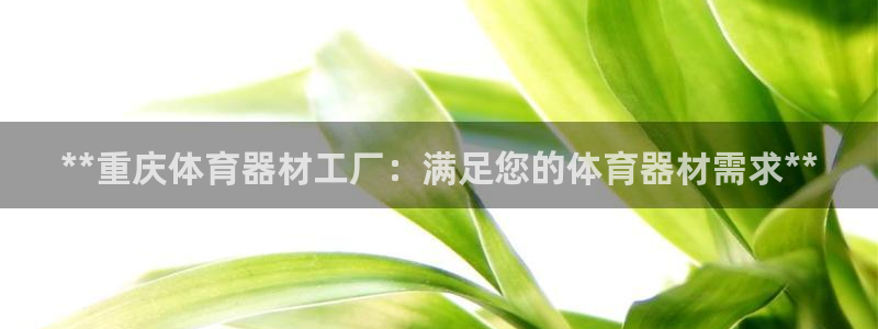 凯时官网的售后服务