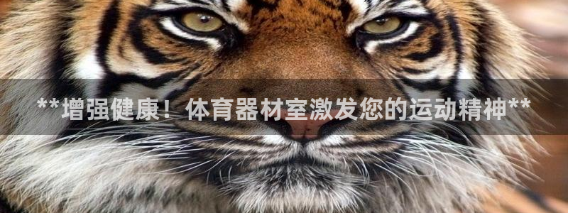 尊龙集团有限公司