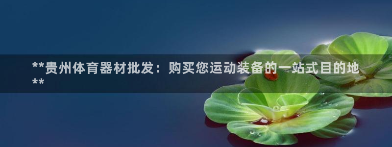 尊龙凯时国际