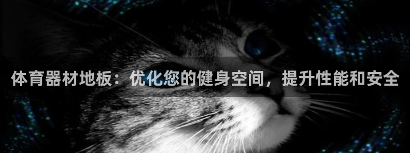 Z6尊龙老版