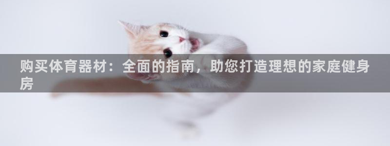 尊龙官网地址