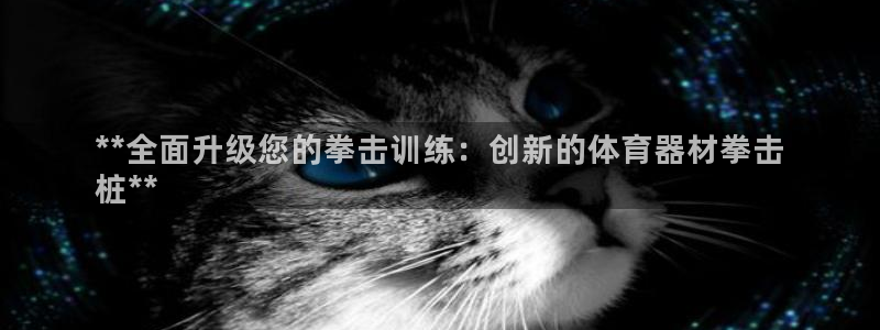 尊龙凯时网站怎么样