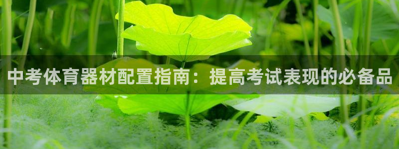 尊龙d88官网选RA来就送38