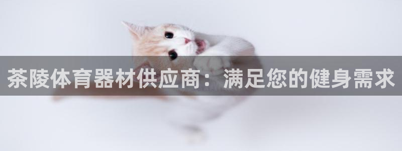 尊龙体育怎么样