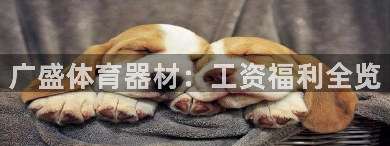 凯时app官方首页