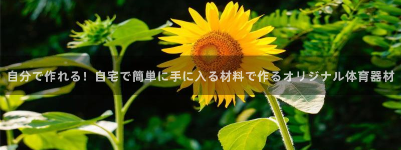 凯时K8国际
