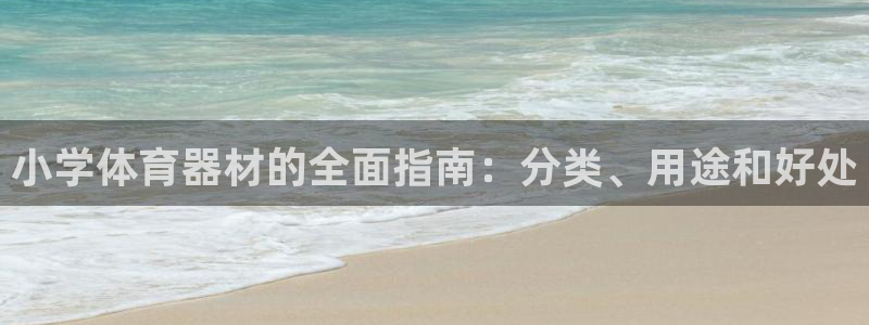 尊龙网页：小学体育器材的全面指南：分类、用途和好处