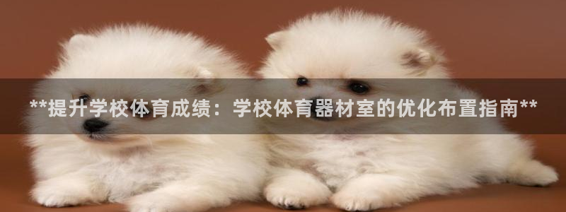 ag旗舰平台尊龙代言