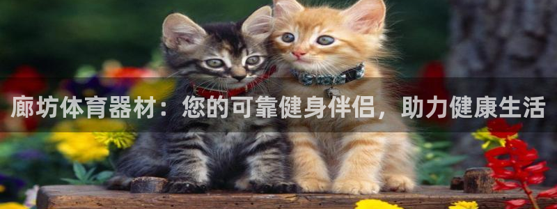 凯时尊龙官网网址