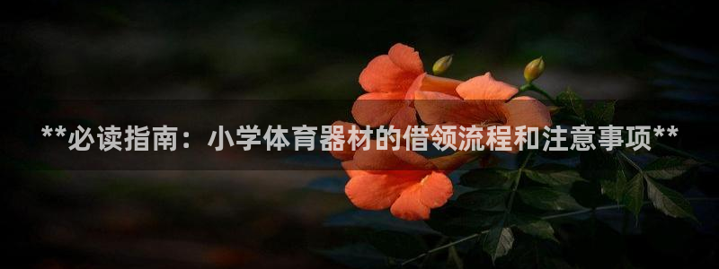 尊龙ag旗舰