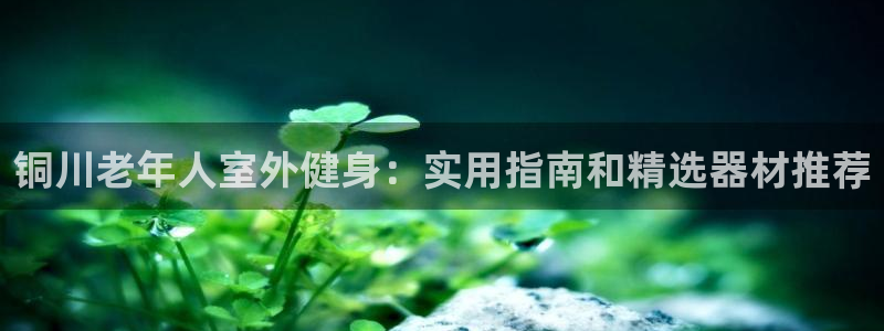 尊龙凯时官网入口：铜川老年人室外健身：实用指南和精选器材推荐