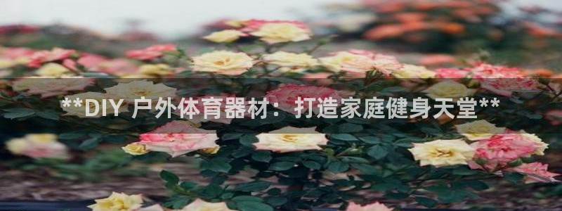 尊龙凯时 人生就是搏首页