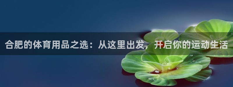 z6尊龙平台是哪里的